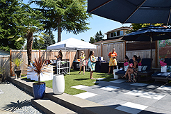 MOMENTUM - MULTI-VENDOR